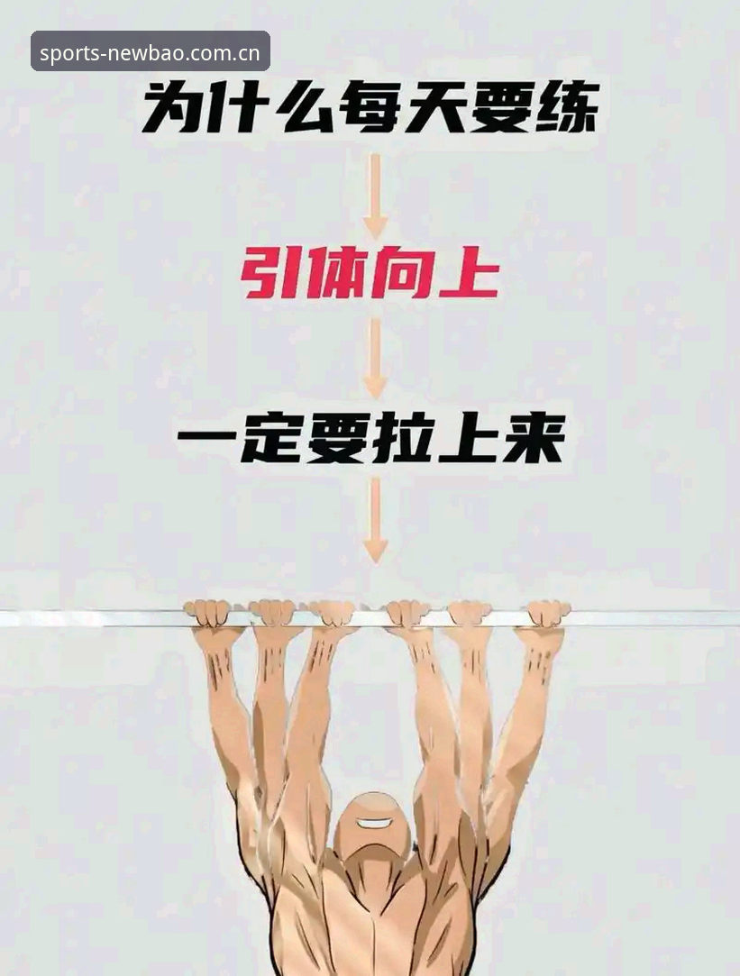 如何轻松完成新宝体育安装教程？从入门到实战的完整指南