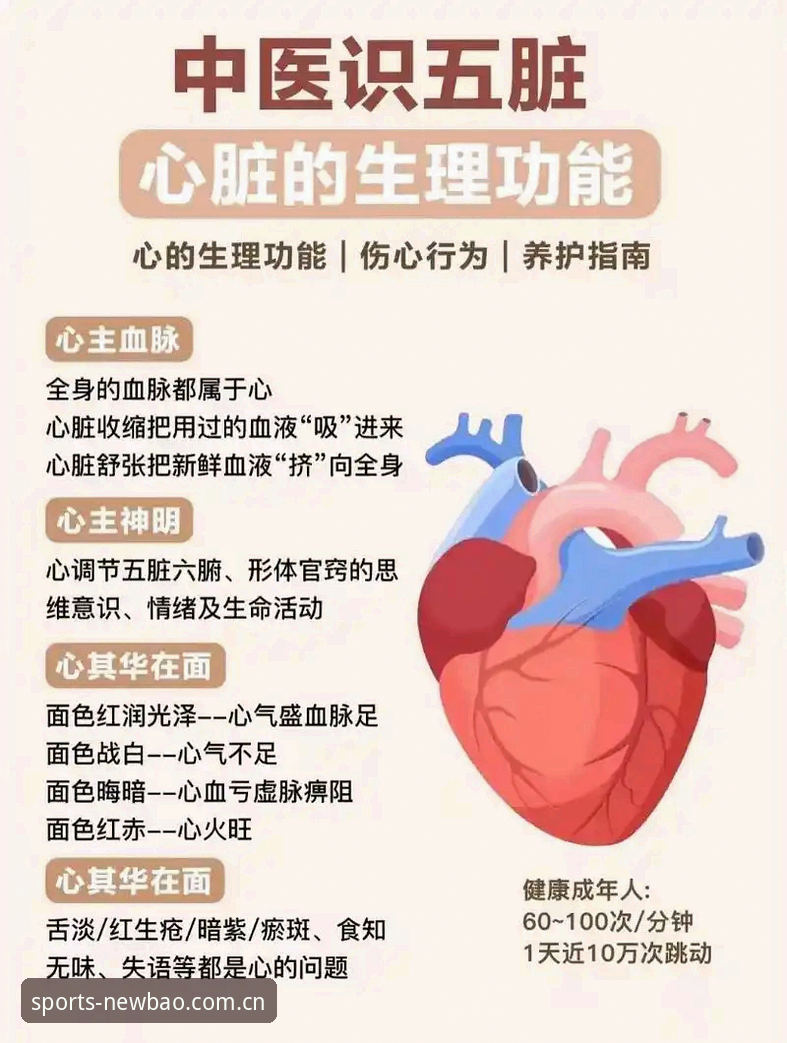 5大核心功能解析：Newbao体育赛事投注平台技术评测